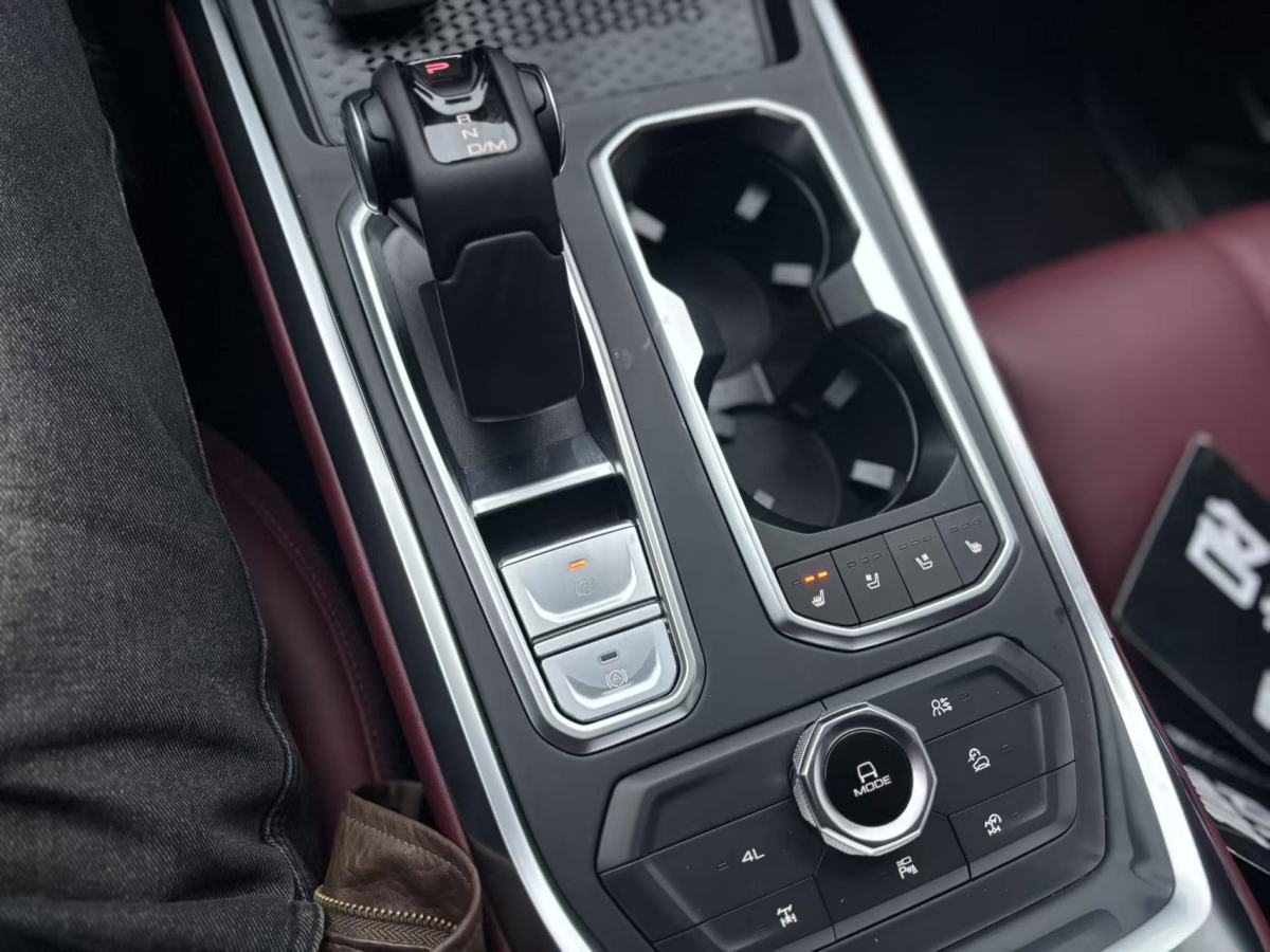 Tank 400 New Energy 2025 car image #19