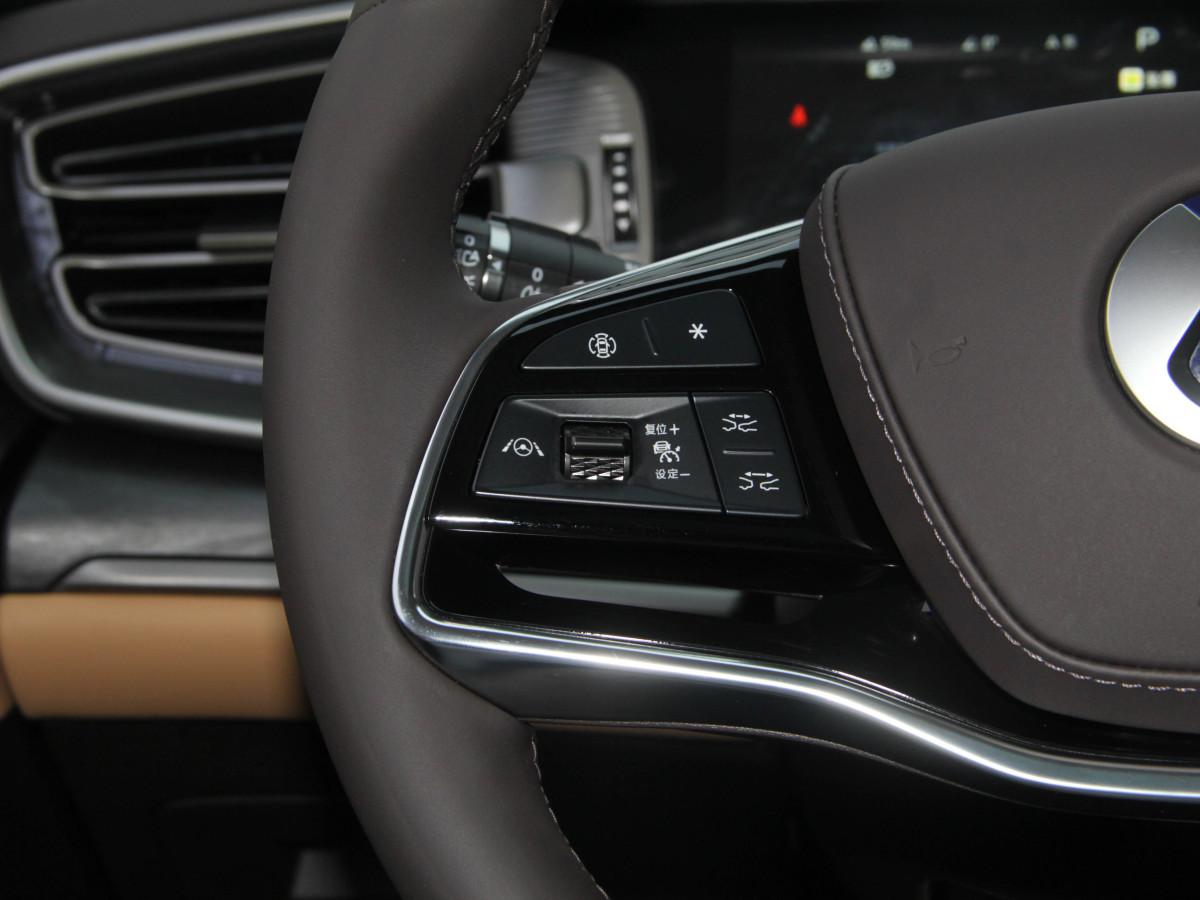 Denza D9 2025 car image #19