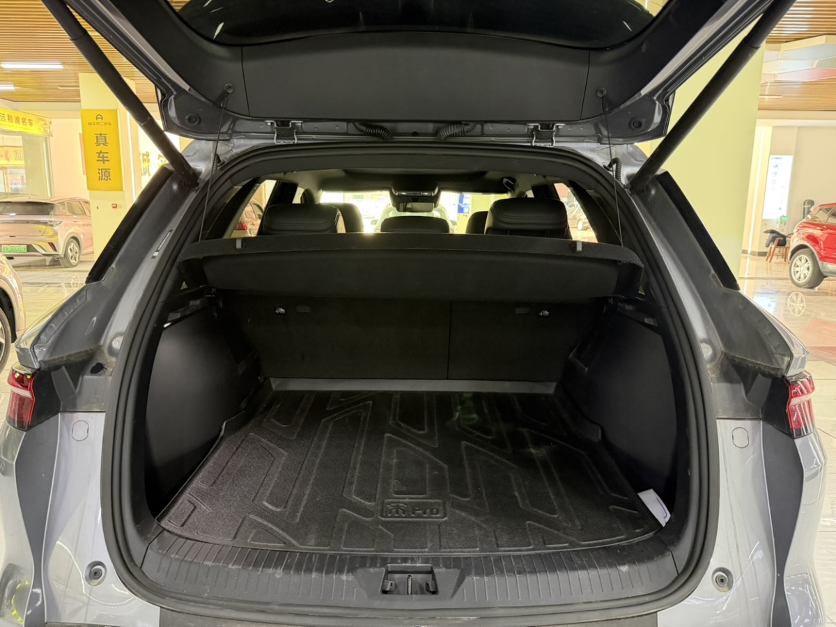 BYD Song Pro New Energy 2025 car image #19