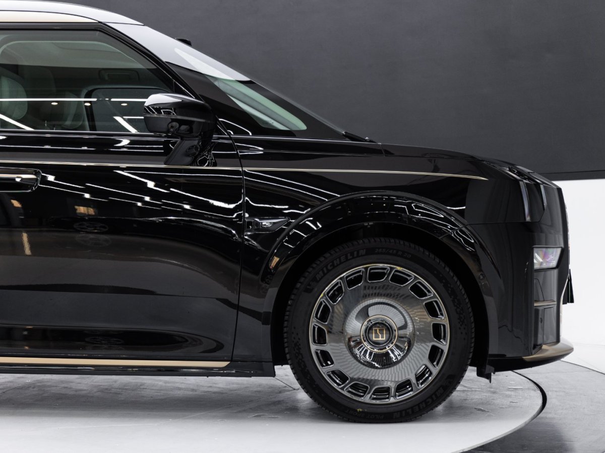 极氪 极氪009 2025 汽车图片 #19