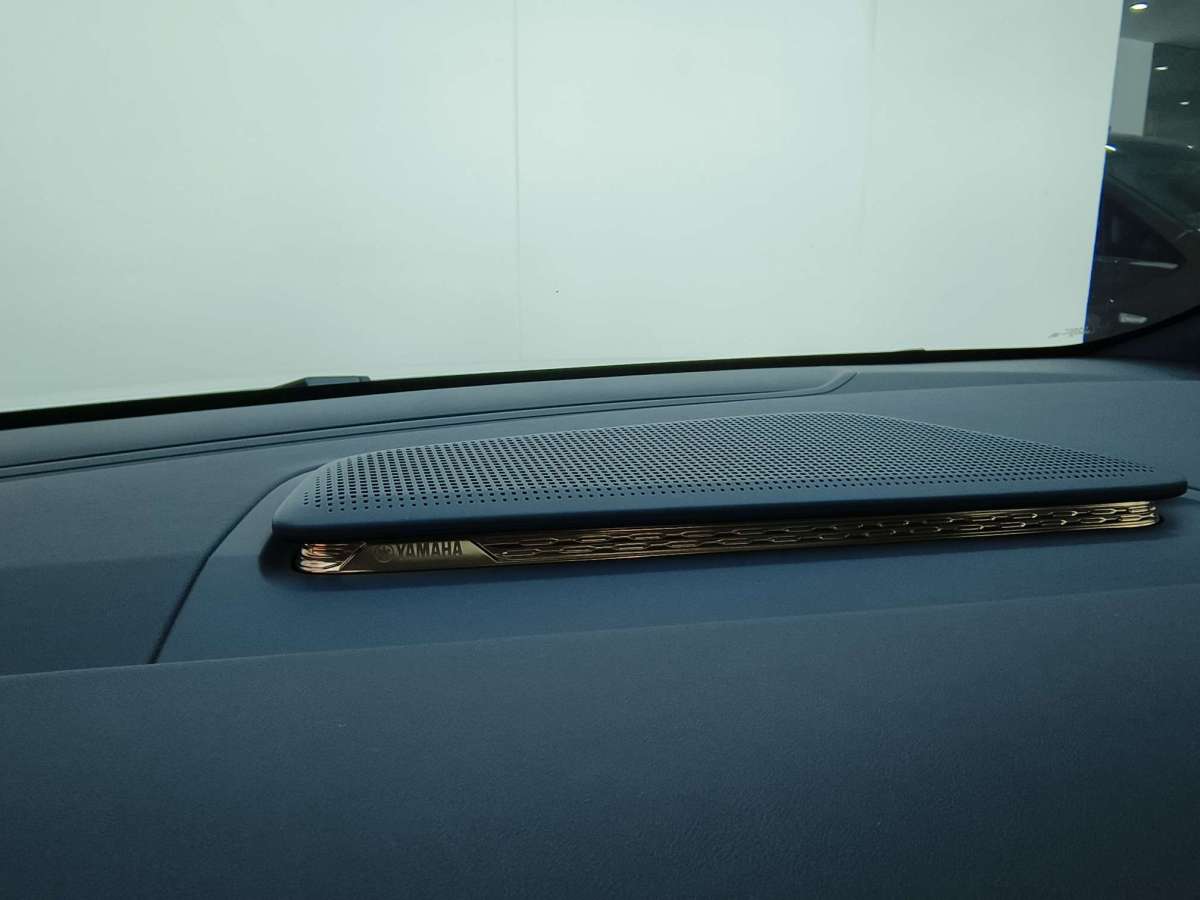 极氪 极氪009 2024 汽车图片 #19