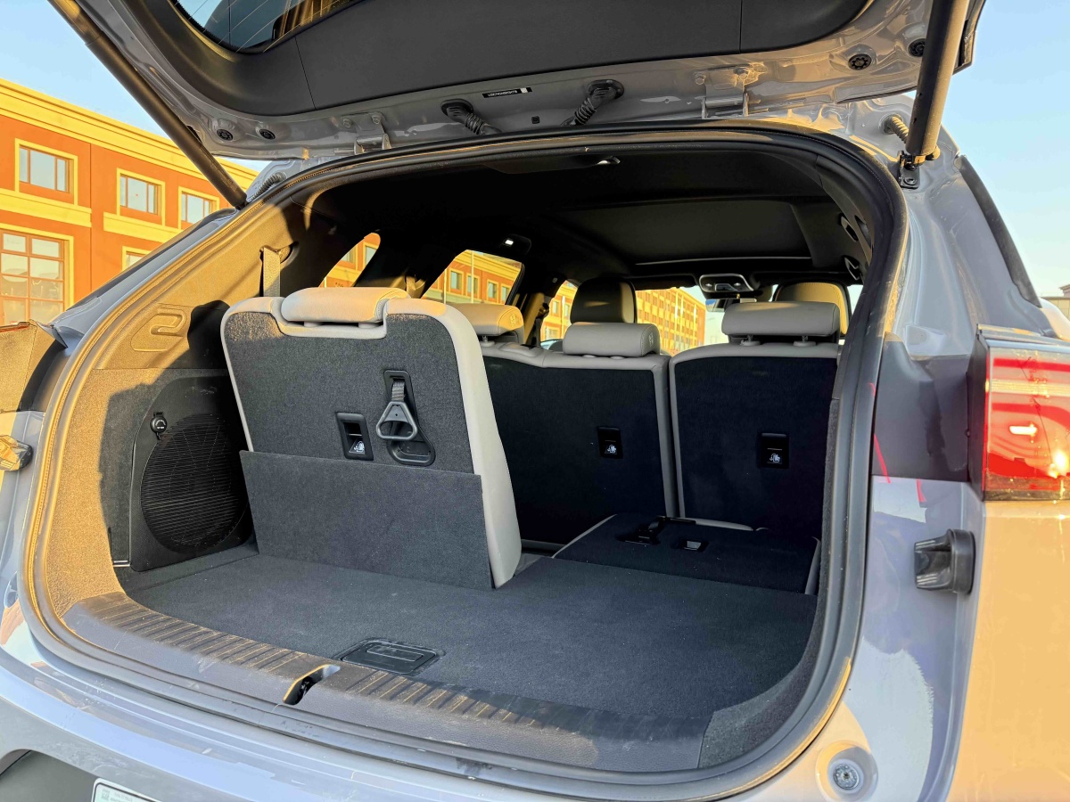 BYD Tang New Energy 2025 car image #19