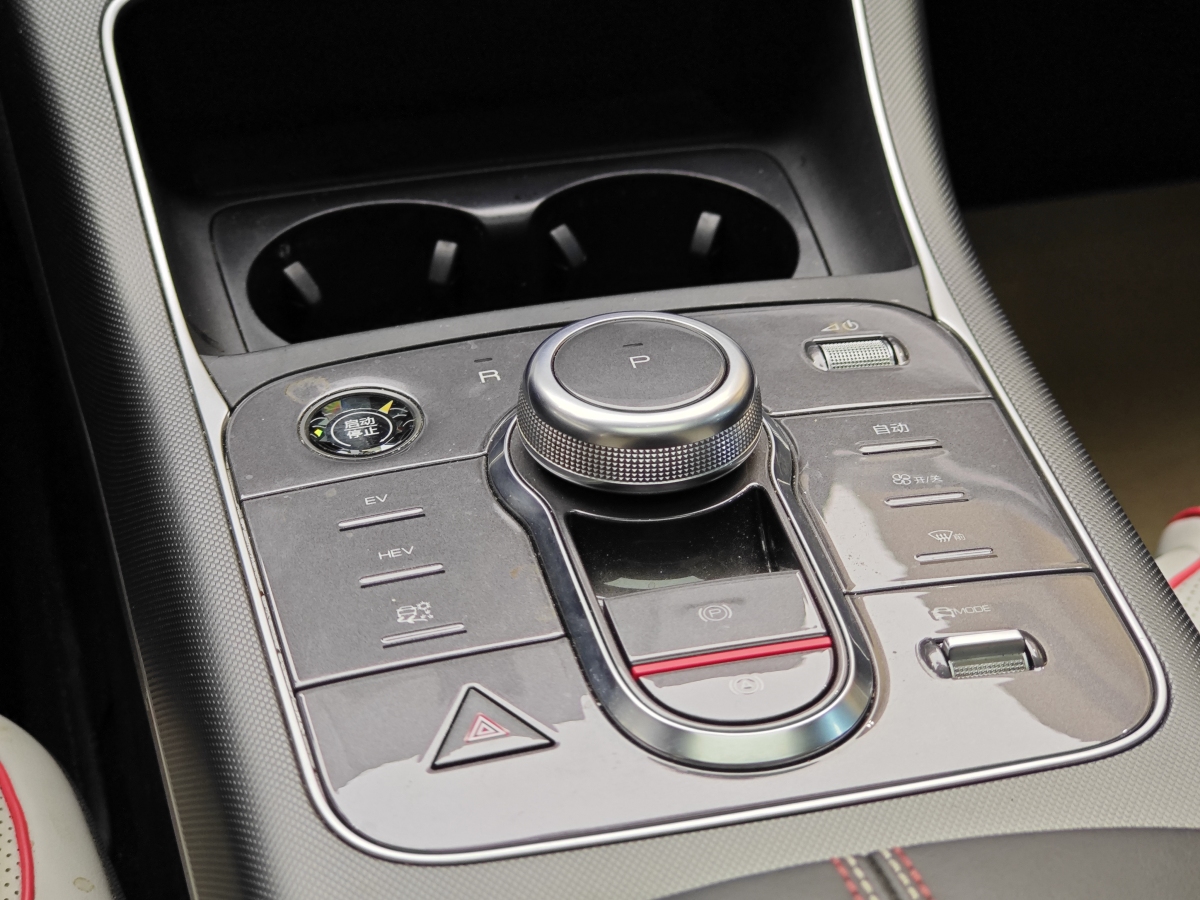 BYD Destroyer 05 2022 car image #19