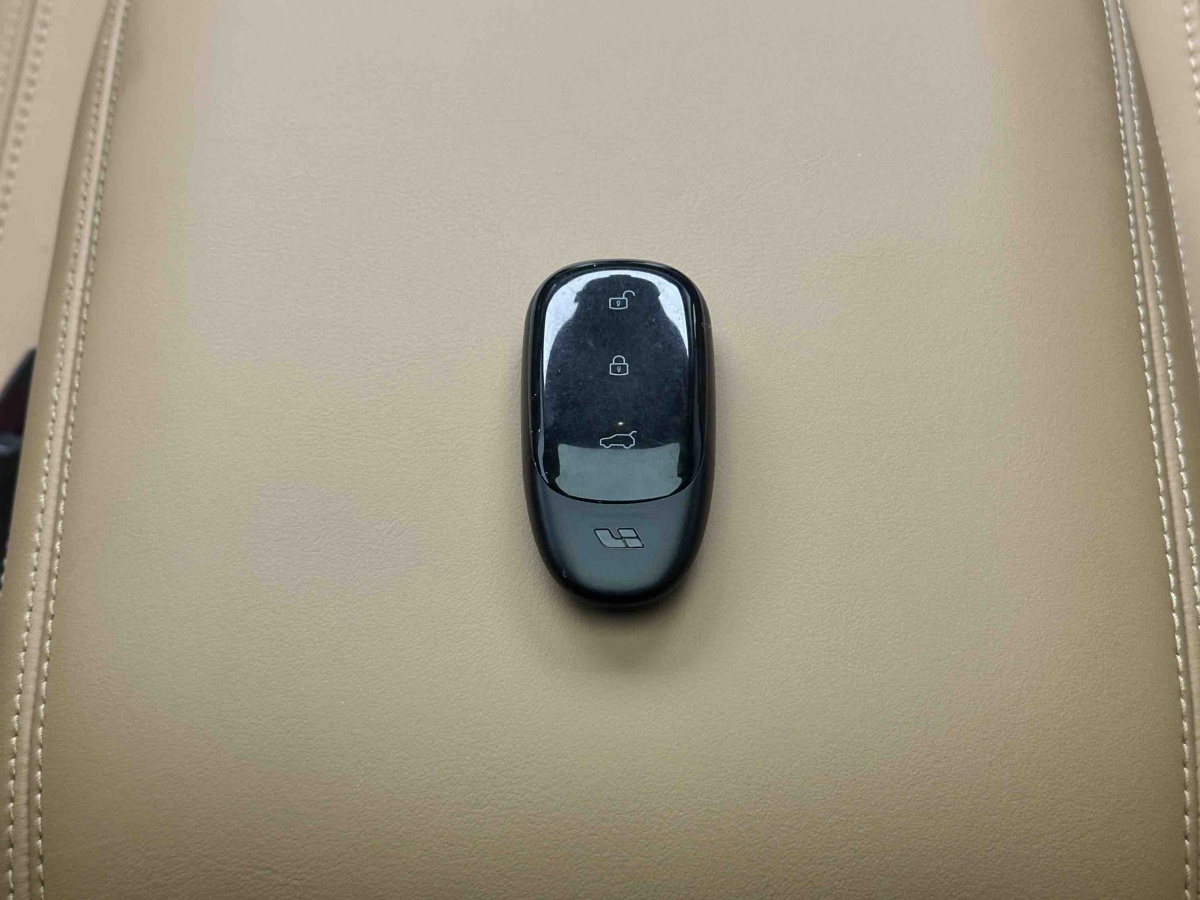 Li One 2021 imagen de coche #19