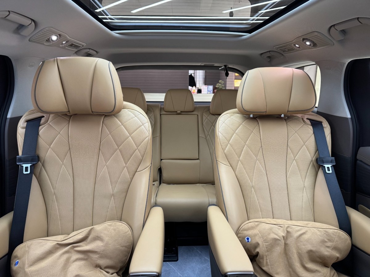 Denza D9 2023 image de voiture #19