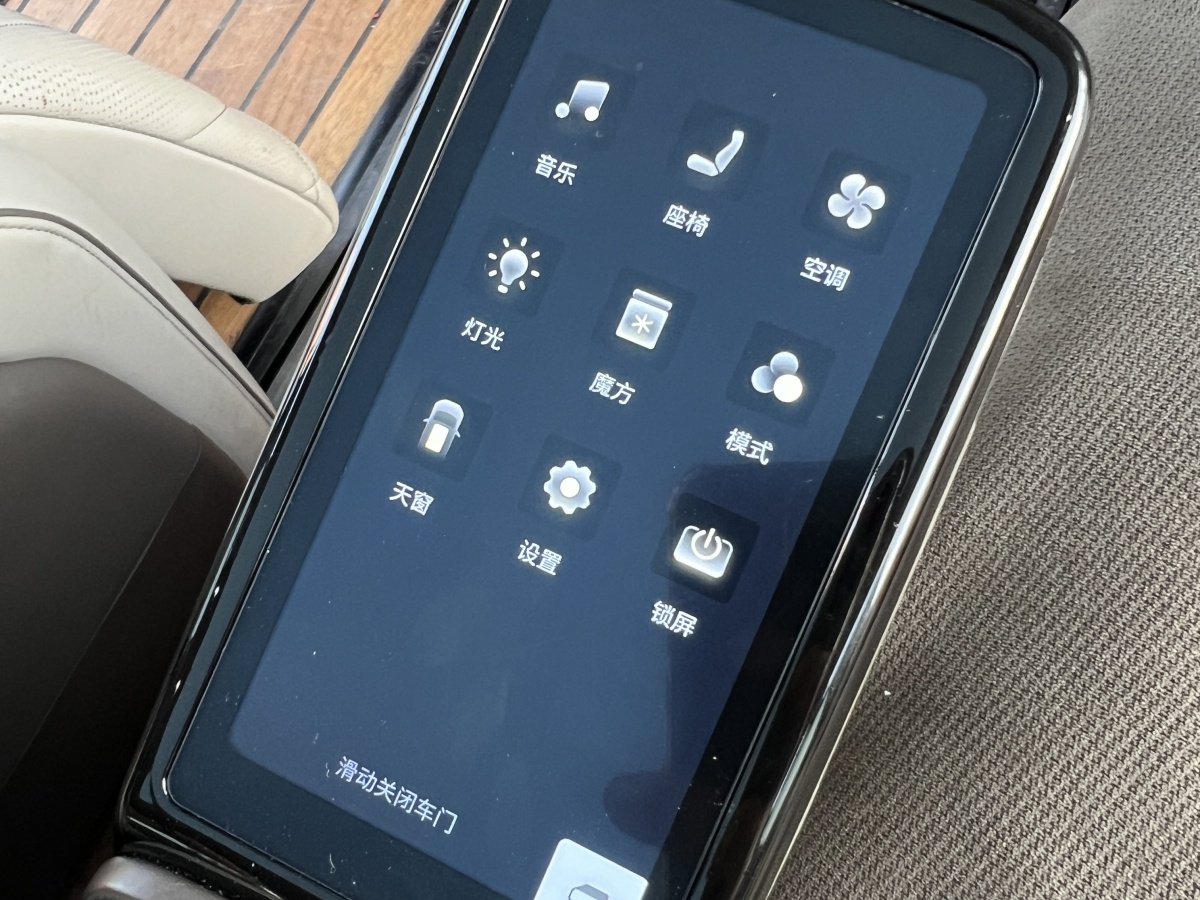 Denza D9 2023 image de voiture #19