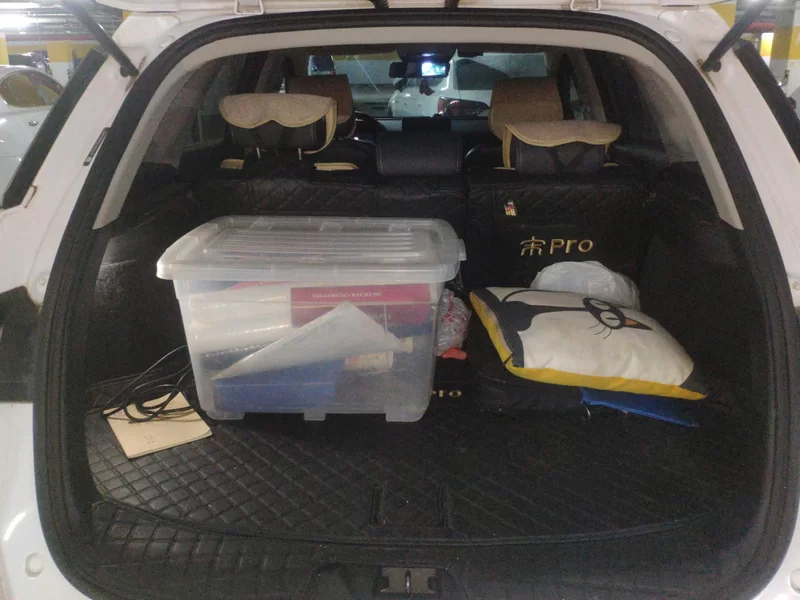 BYD Song Pro 2020 immagine di auto #19