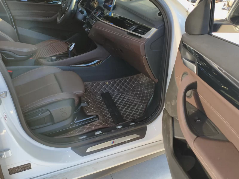 BMW X2 2020 imagen de coche #19