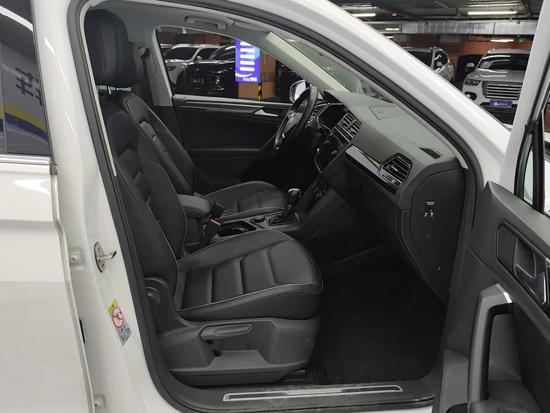 大众 Tiguan 2019 汽车图片 #19