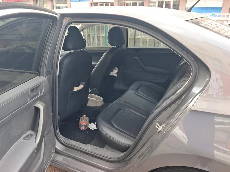 Skoda Rapid 2017 imagen de coche #19