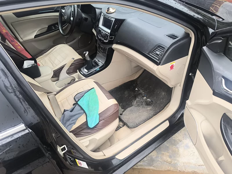 BYD SuRui 2013 car image #19