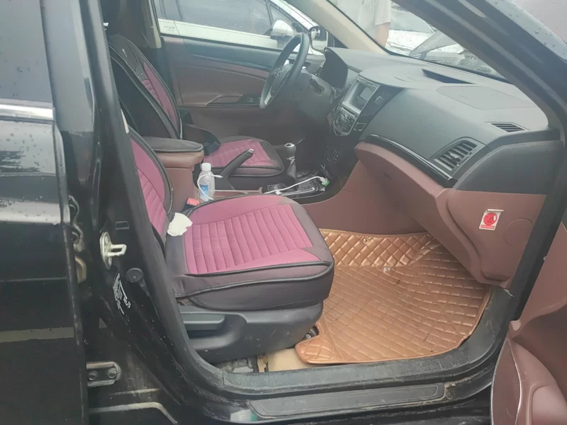 BYD SuRui 2016 #19 BYD SuRui 2016 immagine di auto #19