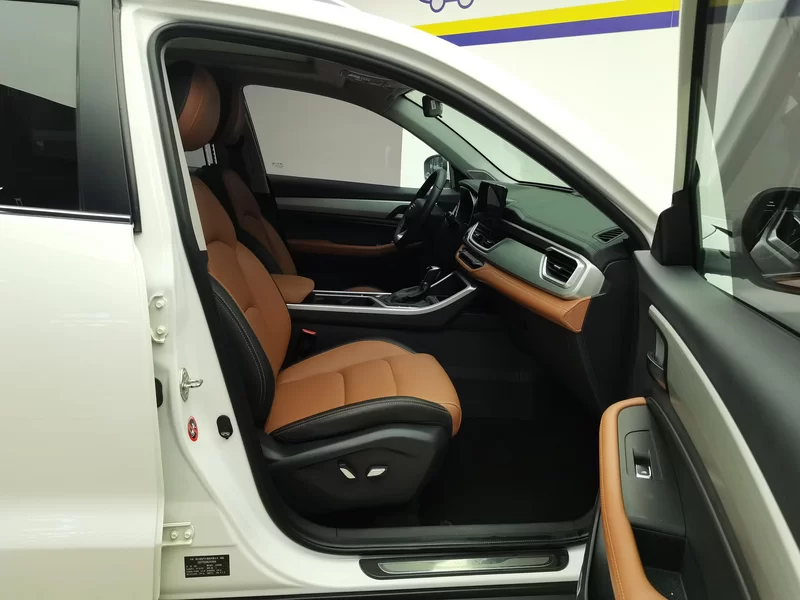 GEELY Vision X6 2020 car image #19