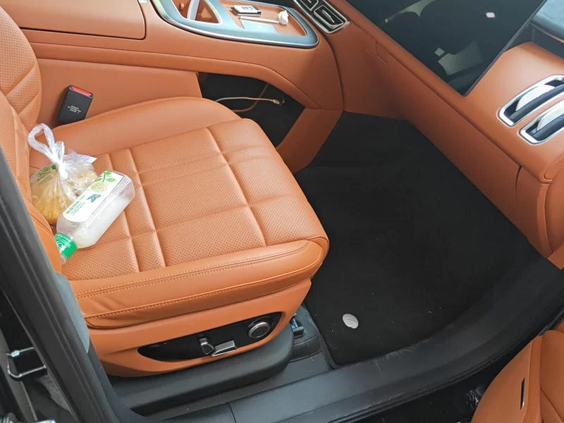 Deepal S09 2025 car image #19