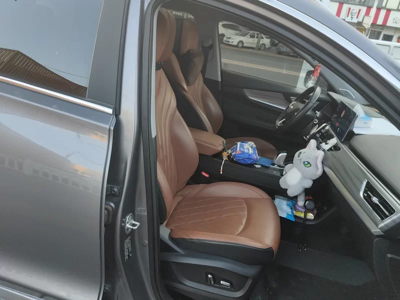 Chery Tiggo 8 Plus e+ 2021 صورة سيارة #19