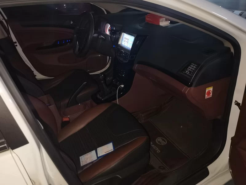 BYD SuRui 2017 immagine di auto #19