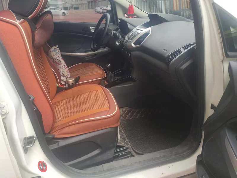 Ford EcoSport 2013 car image #19