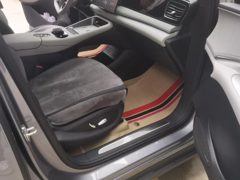 BYD Sea Lion 06 New Energy 2025 car image #19