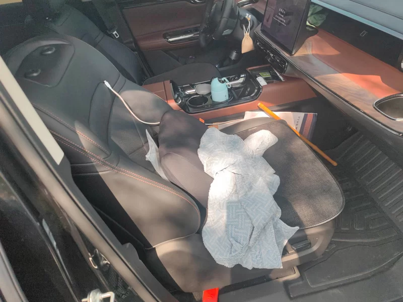 GAC Trumpchi E8 2024 car image #19