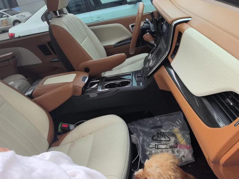 Toyota SIENNA 2018 #19 Toyota SIENNA 2018 صورة سيارة #19