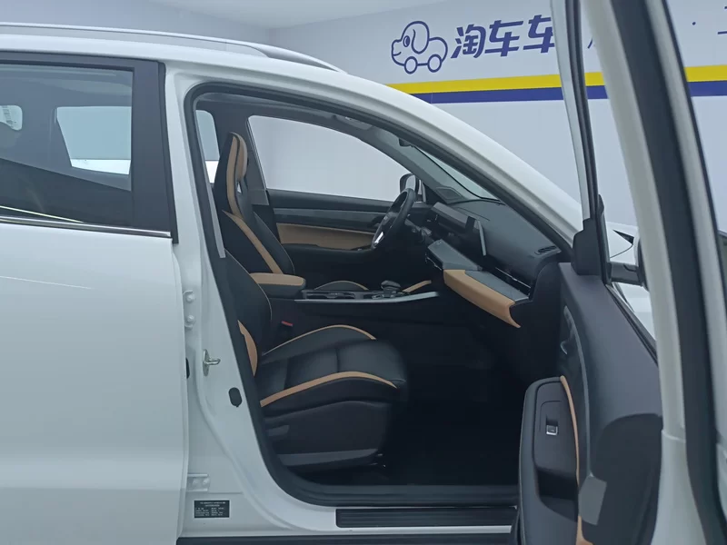 GEELY OkavangoPRO 2024 car image #19