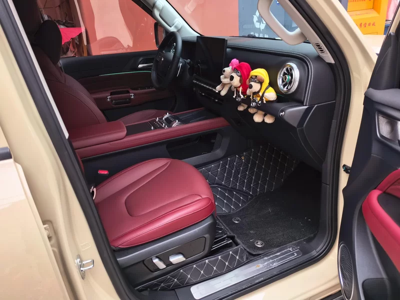 Tank 300 New Energy 2025 car image #19