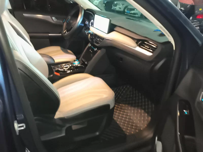 Ford Escape 2022 imagem de carro #19