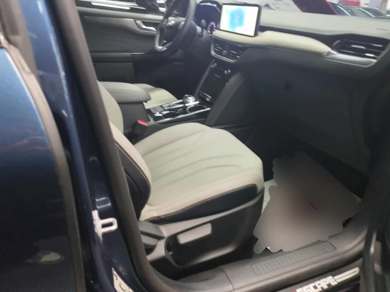 Ford Escape 2022 imagem de carro #19