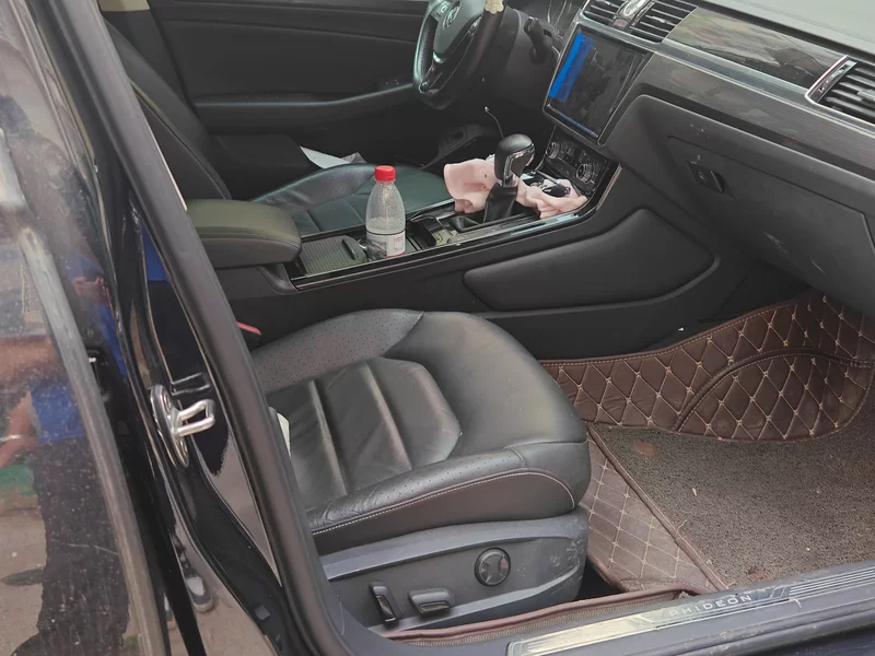 Volkswagen Phideon 2019 immagine di auto #19