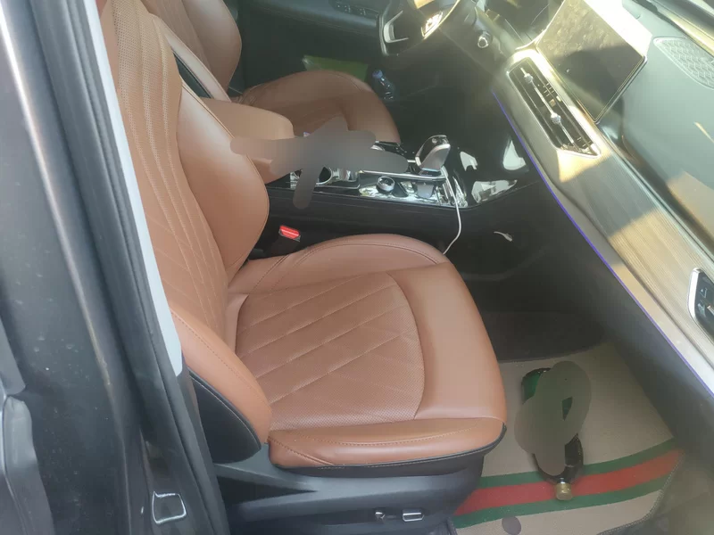 Chery Tiggo 8 Plus e+ 2022 car image #19