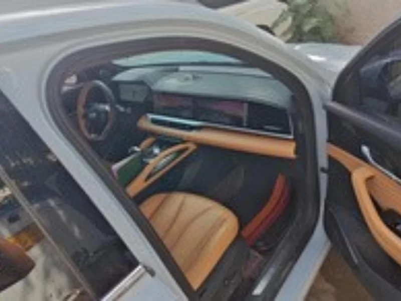 GEELY Monjaro EREV 2023 immagine di auto #19