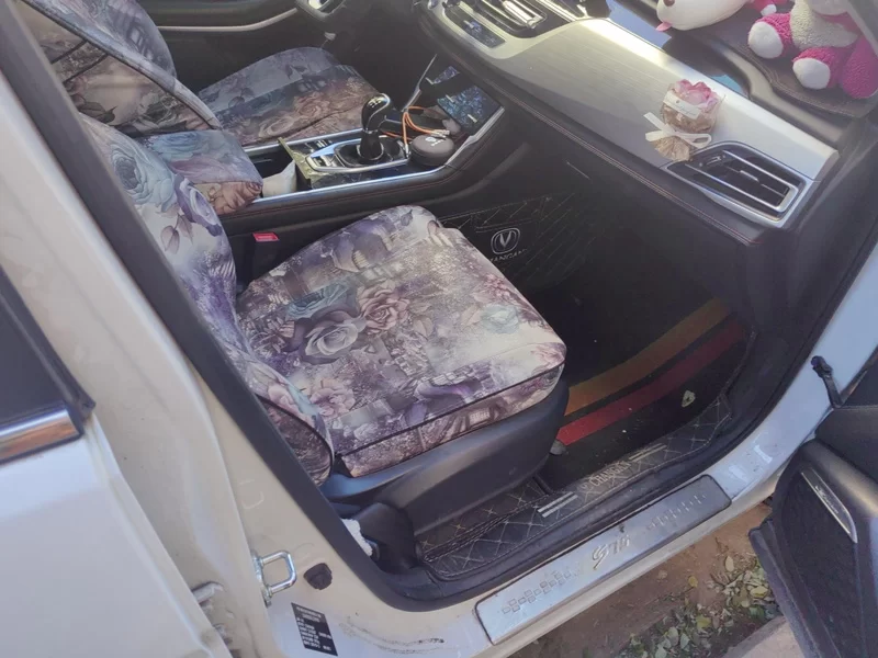 Changan CS75 2020 car image #19