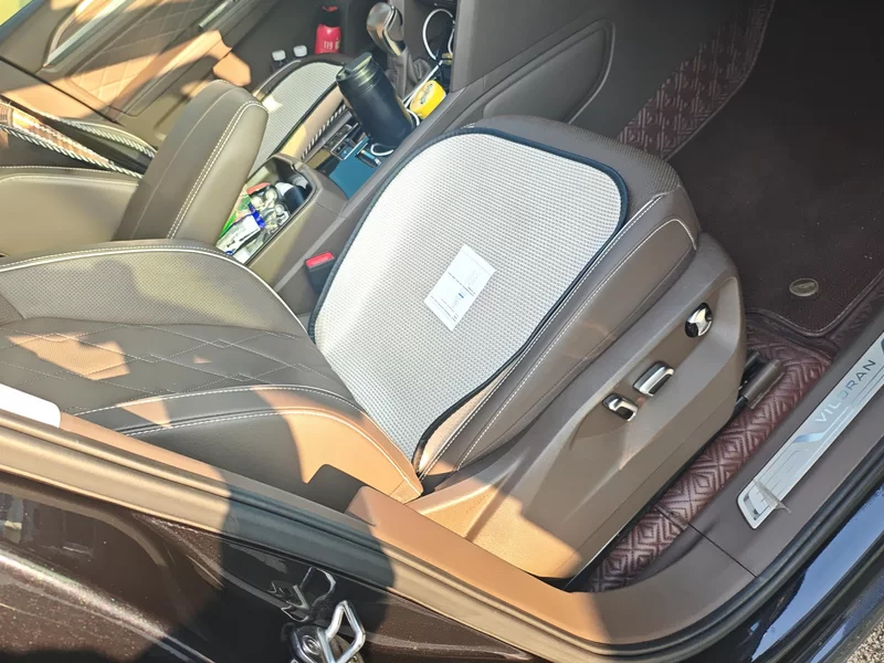 Volkswagen Viloran 2020 car image #19