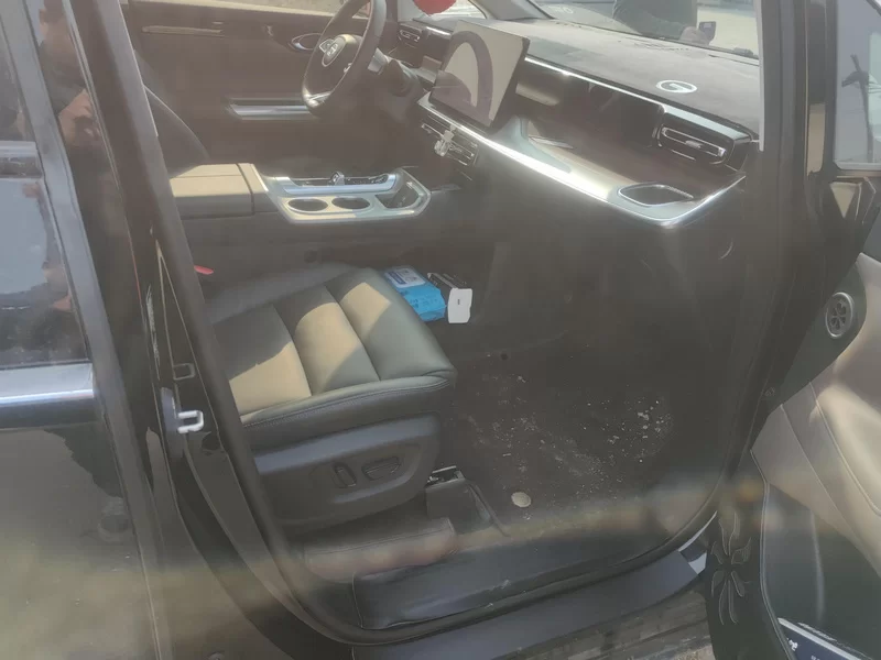 GAC Trumpchi E8 2024 #19 GAC Trumpchi E8 2024 car image #19