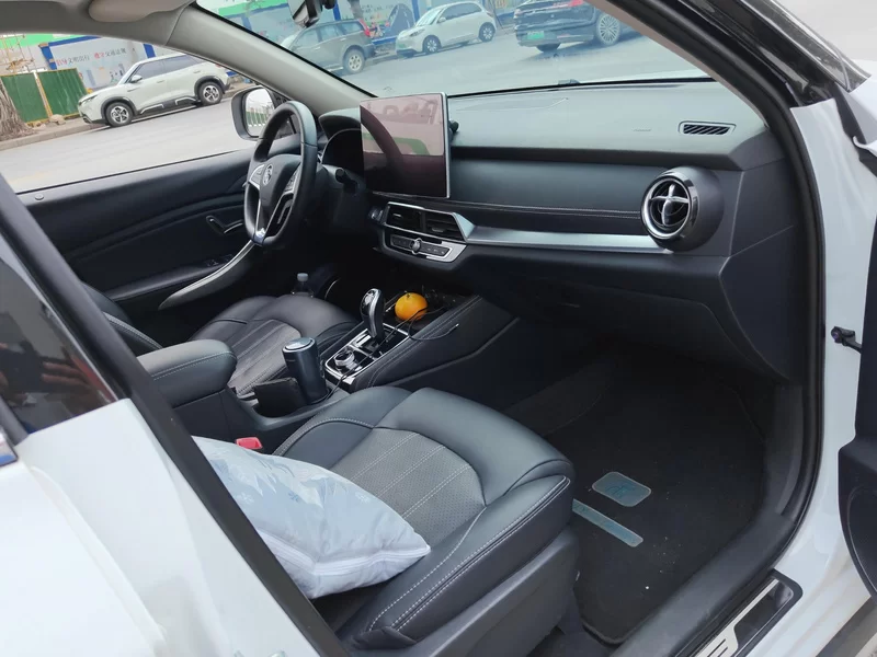 BYD Song New Energy 2020 car image #19