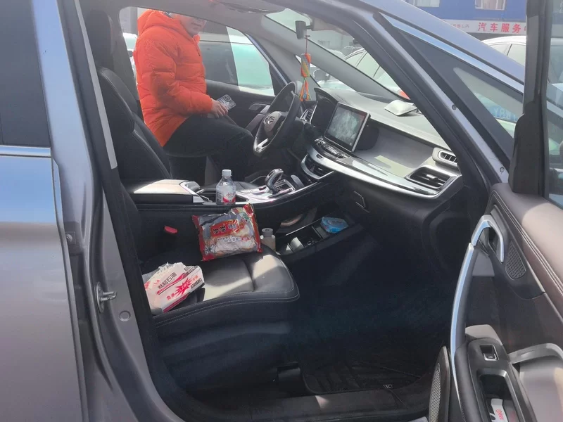 GEELY JiaJi 2020 immagine di auto #19