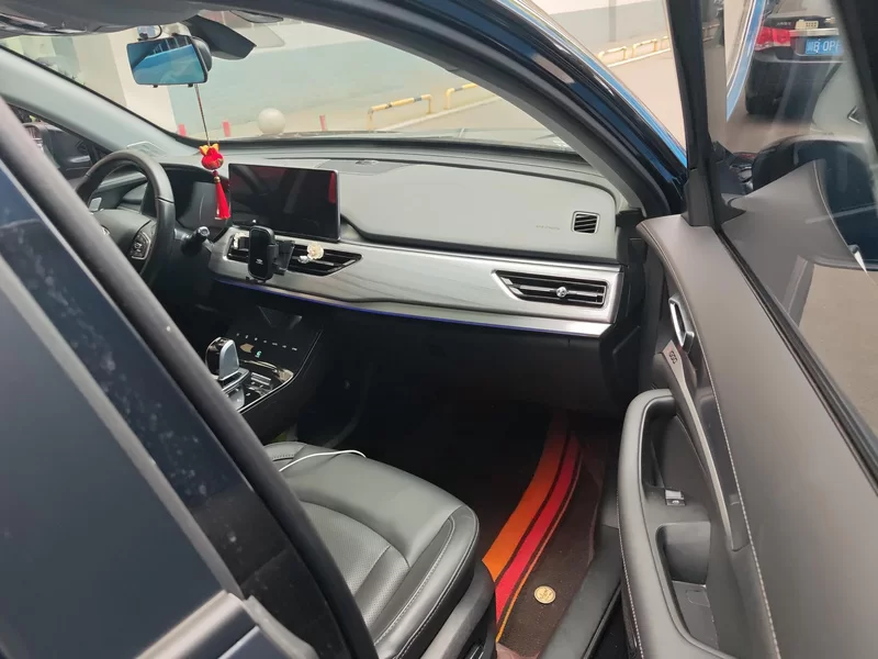 Chery Tiggo 8 Plus e+ 2022 car image #19