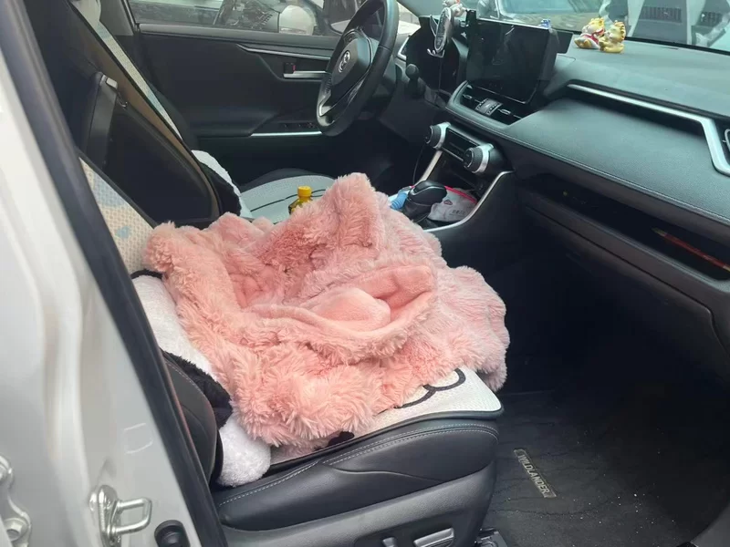 Toyota Wildlander 2023 imagem de carro #19