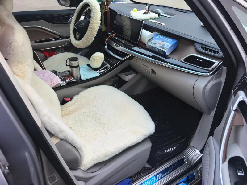 GEELY JiaJi 2019 #19 GEELY JiaJi 2019 car image #19