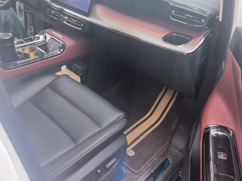 GAC Trumpchi E8 New Energy 2024 car image #19