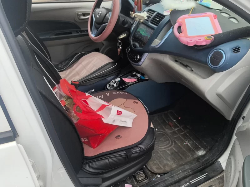 Changan BenBen E-Star 2022 image de voiture #19