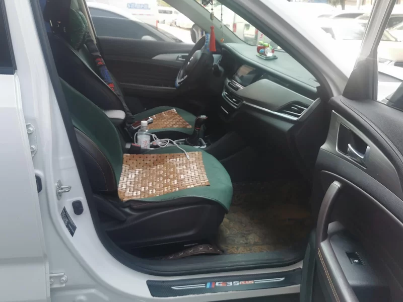 Changan CS35 Plus 2020 immagine di auto #19