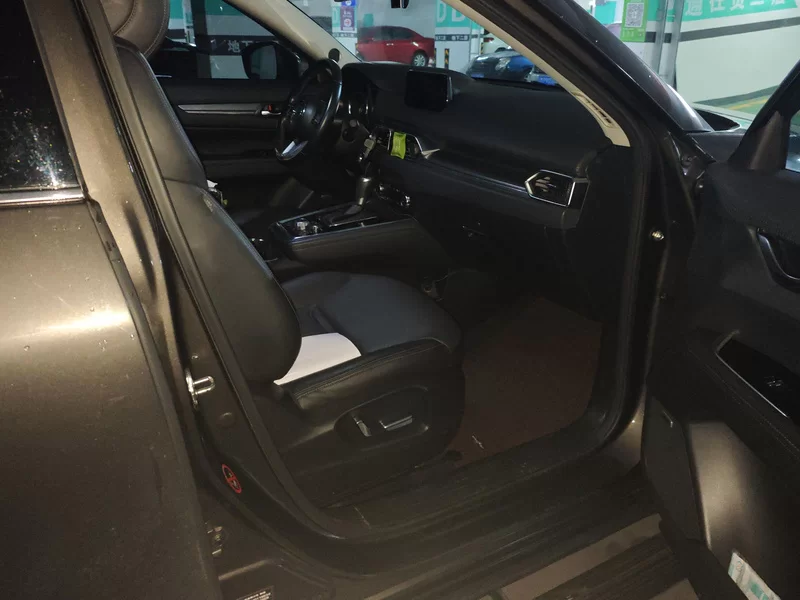 Mazda CX-8 2019 car image #19