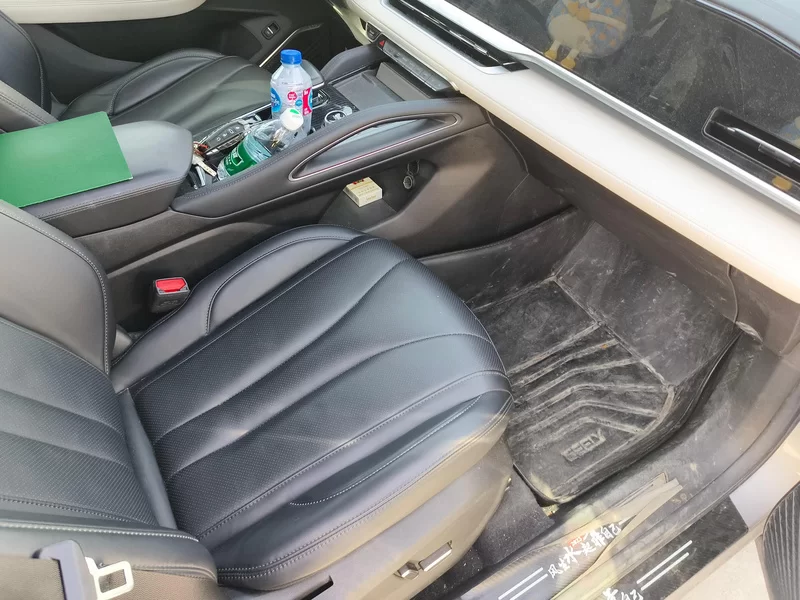 GEELY Tugella 2023 immagine di auto #19