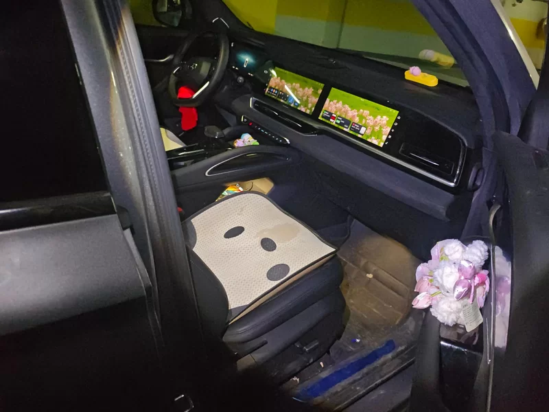 GEELY Monjaro MHEV 2024 car image #19