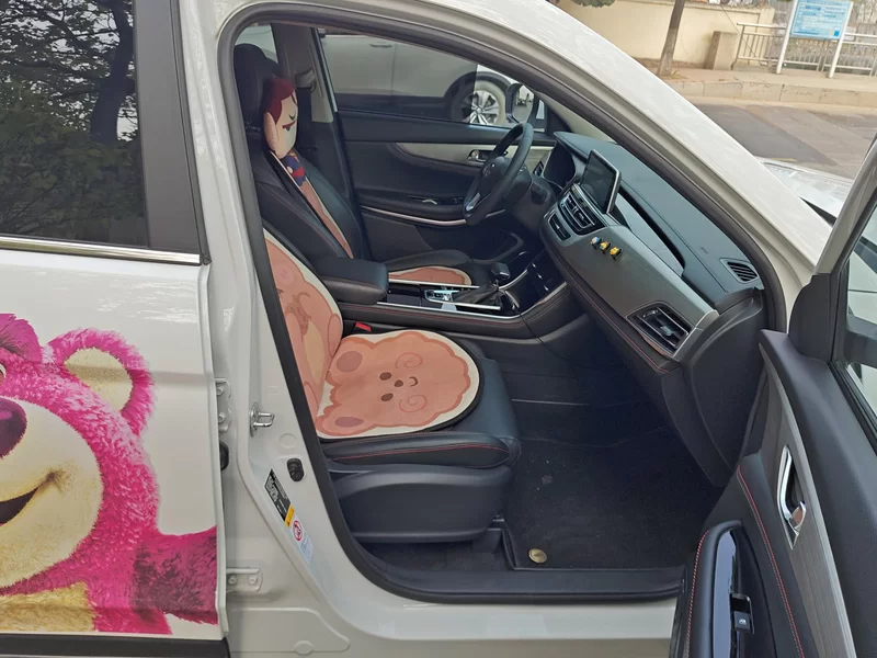 Changan CS75 PRO 2020 car image #19