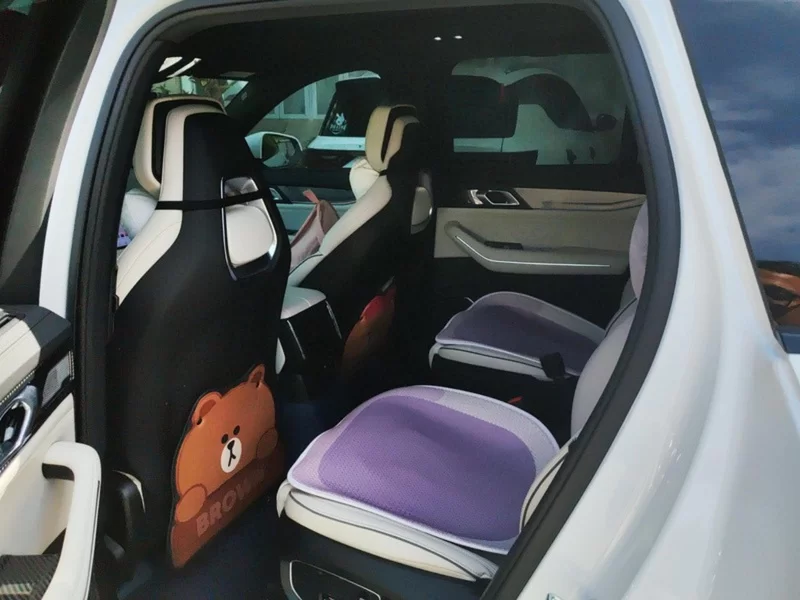 Lynk & Co 09 EM-P 2022 car image #19