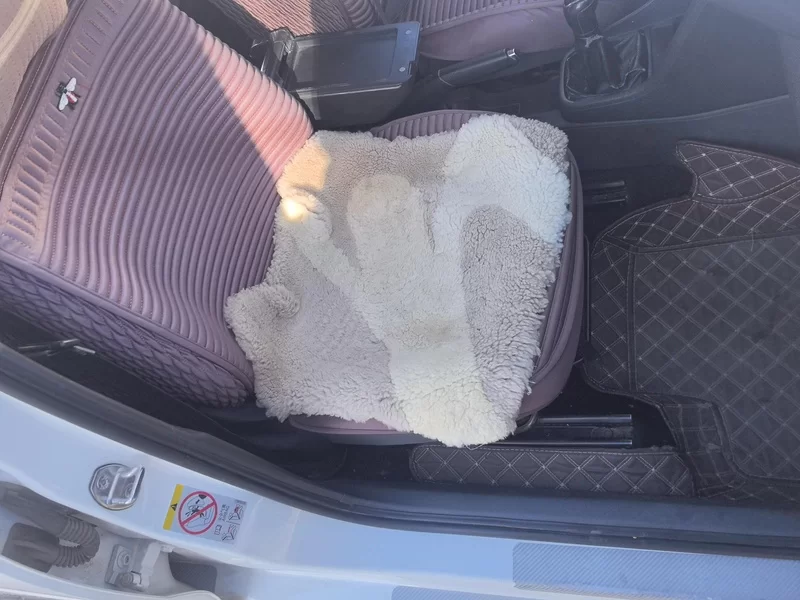 Skoda Rapid 2018 car image #19