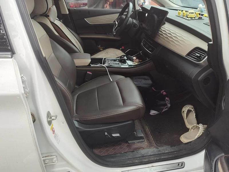 BYD Song MAX New Energy 2022 car image #19