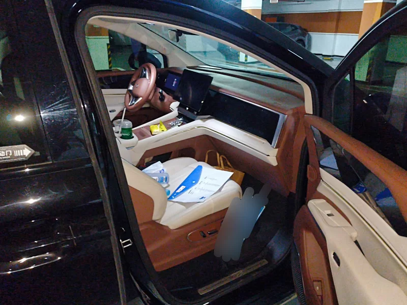 BYD Xia 2024 صورة سيارة #19